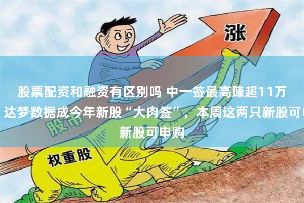 股票配资和融资有区别吗 中一签最高赚超11万元！达梦数据成今年新股“大肉签”，本周这两只新股可申购