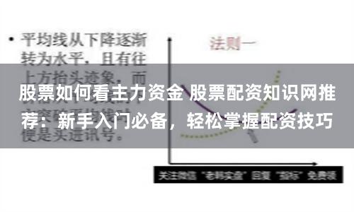 股票如何看主力资金 股票配资知识网推荐：新手入门必备，轻松掌握配资技巧